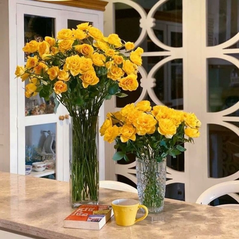 Bình hoa thủy tinh trụ tròn D10xH15, Lọ cắm hoa hình trụ trang trí