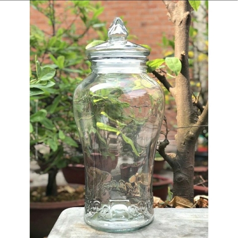 Bình Thủy Tinh Ngâm Rươu Sâm Cao Ly 15 lít có van hoặc không van