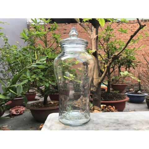 Bình thủy tinh 10 lít sâm chân mây [ không van ] & [ có van ] *BAO BỂ VỠ*