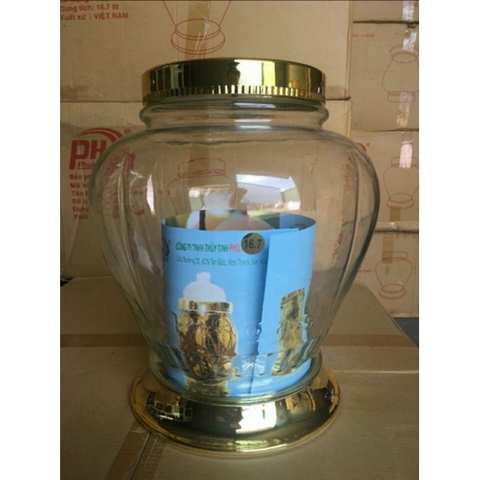 Bình Thủy Tinh Việt Nam 16.7 Lít Phú Hòa *BAO BỂ VỠ*