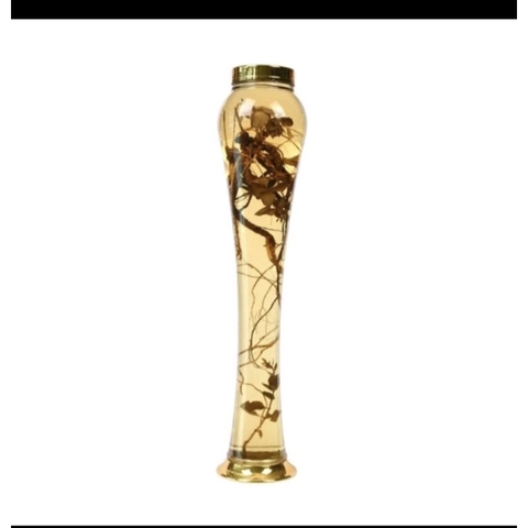 Bình thuỷ tinh ngâm rượu Hàn Quốc 6,5lit (hình sâm)