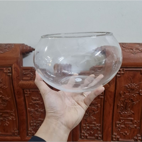 Bát thủy tinh thả cá - cầu thủy tinh ⚡️BAO BỂ VỠ⚡️cắm hoa, thả cá
