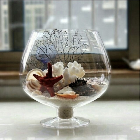 BÌNH THỦY TINH NUÔI CÁ ĐỂ BÀN,CHẬU CÁ THỦY TINH LY CHÂN LỚN LC1 *H27xD22* 5 Lít ,BÌNH THỦY TINH TRỒNG CÂY