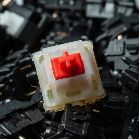 Gateron Raw Switch