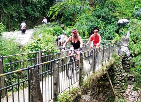 Tour xe đạp điện khám phá Ubud 1 ngày_Optional Tour