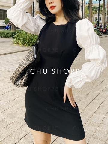 ĐẦM ĐEN CỔ TRÒN