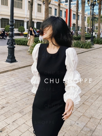 ĐẦM ĐEN CỔ TRÒN