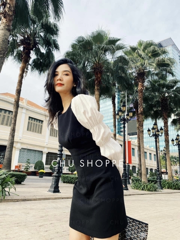 ĐẦM ĐEN CỔ TRÒN