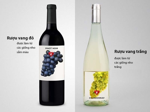 Sự khác biệt giữa rượu vang đỏ và trắng