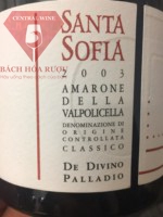 Santa Sofia Amarone della Valpolicella Classico de Divino Palladio