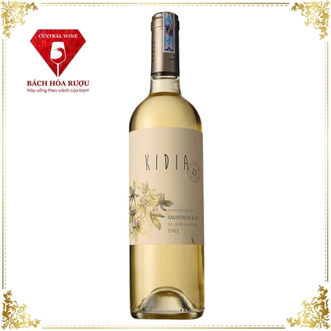 Vang Chile Kidia Classico Sauvignon Blanc Trắng