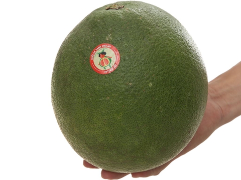 Bưởi da xanh trái 1.7kg trở lên