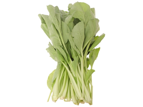 Cải ngọt 4KFarm