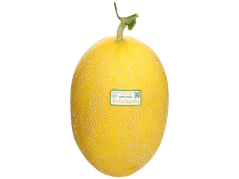 Dưa lưới Huỳnh Long trái 1.4kg-1.6kg