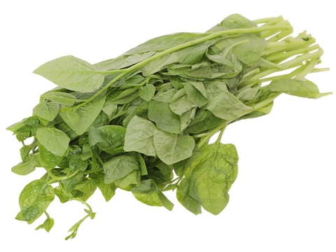 Rau mồng tơi 4KFarm