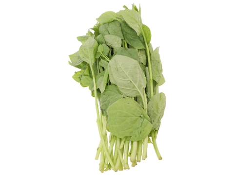 Rau mồng tơi 4KFarm