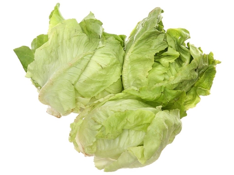 Xà lách búp mỡ