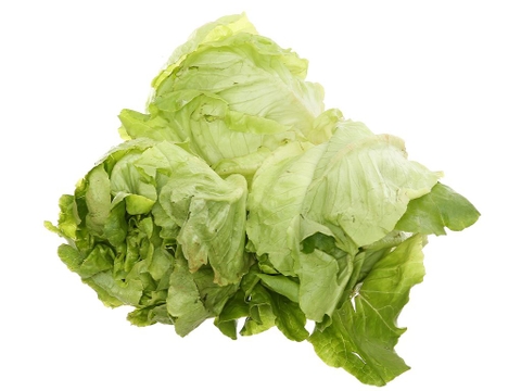Xà lách búp mỡ
