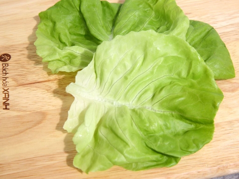 Xà lách búp mỡ thuỷ canh