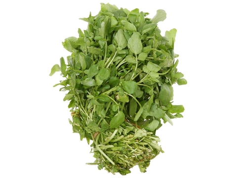 Xà lách xoong Đà Lạt