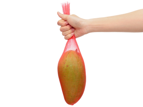 Xoài Đài Loan trái 600g trở lên