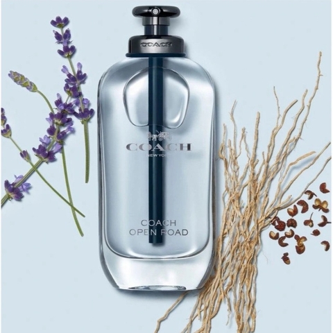 Nước Hoa Nam Coach Open Road EDT 60ml