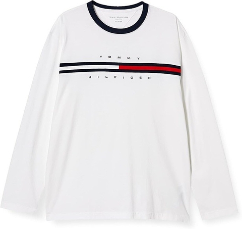 Áo Tommy Hilfiger Embroidered Flag Logo Long-Sleeve T-Shirt White 78JA525 100