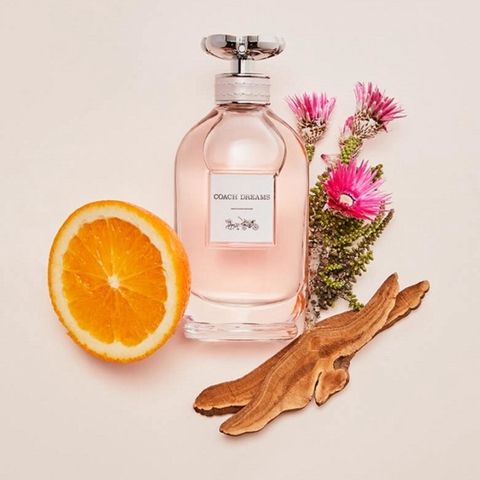 Nước Hoa Nữ Coach Dreams EDP 90ml