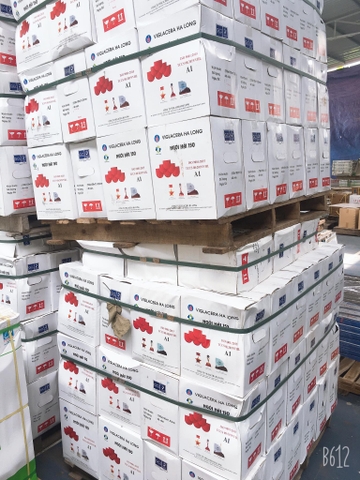 Ngói mũi hài 150 Viglacera Hạ Long