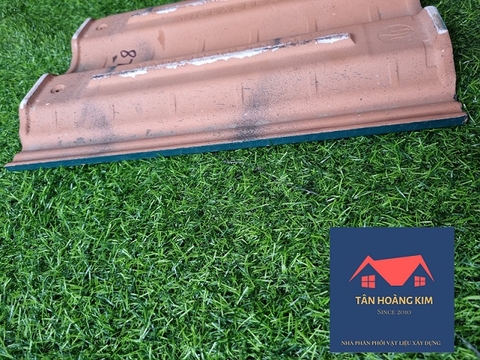 Ngói Viglacera sóng tráng men S09 (10viên/m2) Thăng Long