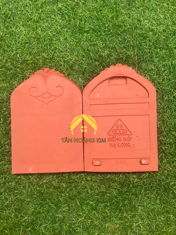 Ngói hài cổ Giếng Đáy Hạ Long có chân