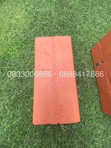 GẠCH ĐẶC KHÔNG TRÁT VIGLACERA HẠ LONG