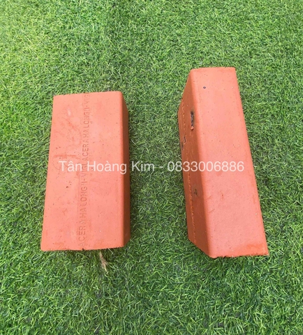 GẠCH ĐẶC KHÔNG TRÁT VIGLACERA HẠ LONG