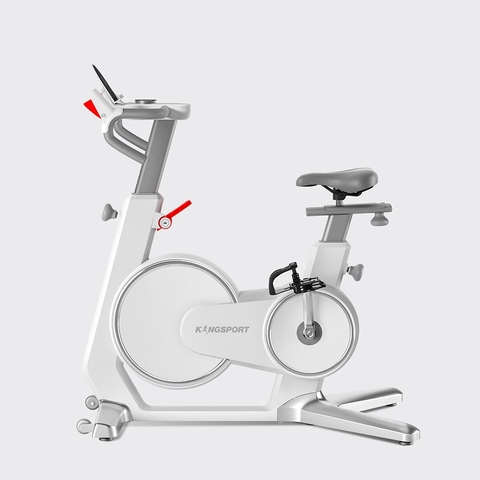 XE ĐẠP TẬP KINGSPORT BK-5813