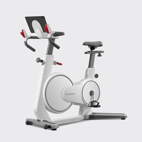 XE ĐẠP TẬP KINGSPORT BK-5813