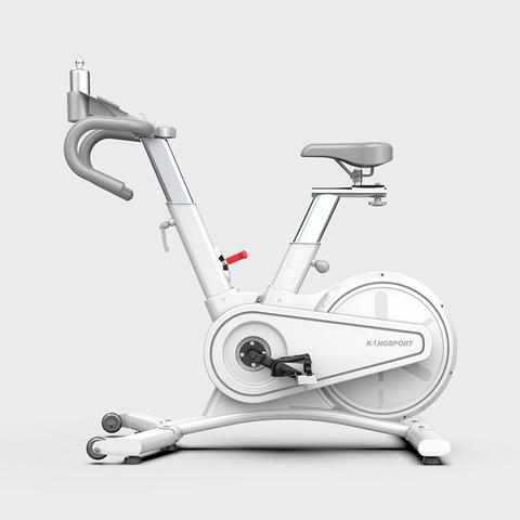 XE ĐẠP TẬP KINGSPORT BK-5814