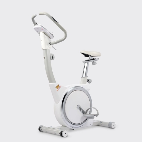 XE ĐẠP TẬP KINGSPORT KS-102