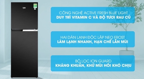 Tủ lạnh Beko Inverter 230 lít RDNT251I50VWB
