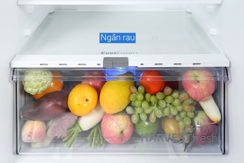 Tủ lạnh Beko Inverter 340 lít RDNT371E50VZDHFSU