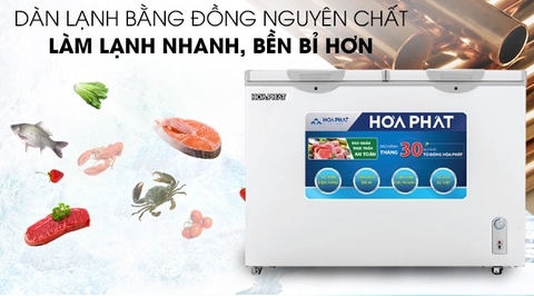 Tủ đông Hòa Phát 271 lít HCF 656S2Đ2