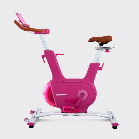 XE ĐẠP TẬP KINGSPORT CREATIVE E-03 PINK