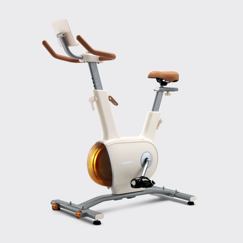 XE ĐẠP TẬP KINGSPORT CREATIVE E-03 WHITE