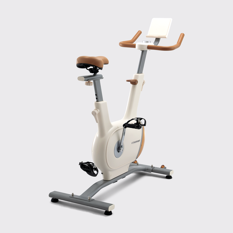 XE ĐẠP TẬP KINGSPORT CREATIVE E-03 WHITE