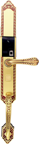 Khóa vân tay NewNeo G-LC93