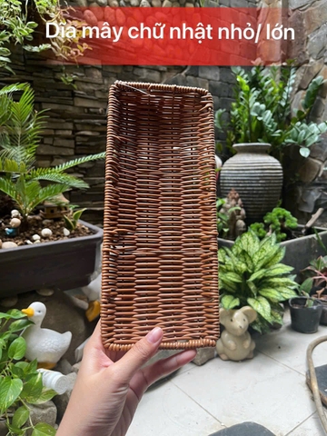 DĨA MÂY CHỮ NHẬT