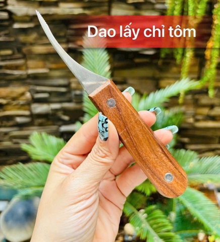 DAO LẤY CHỈ TÔM