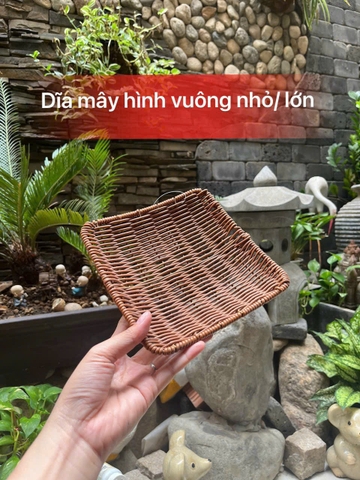DĨA MÂY HÌNH VUÔNG