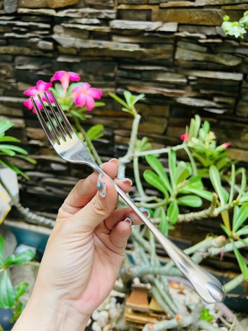 NĨA ĂN CƠM ĂN TRÁI CÂY INOX 304