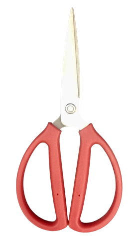 KÉO ĐỎ CẮT XƯƠNG