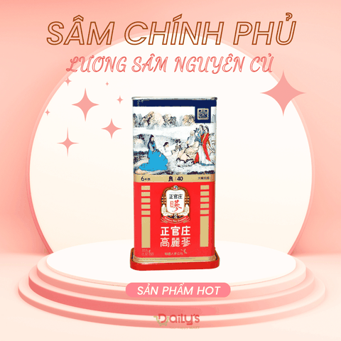 SÂM CHÍNH PHỦ LƯƠNG SÂM KRG GOOD